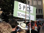 spd_schweine